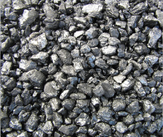 Anthracite Beans